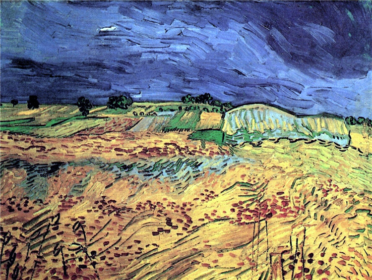 The Fields Vincent Willem Van Gogh Oil Painting